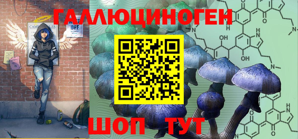 Новотроицк  Псилоцибиновые грибы ЛСД  Вход с VPN  Галлюциногенные грибы прущие грибы 